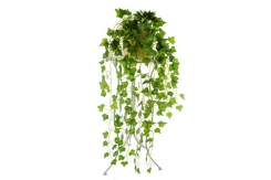 020 veštačke lozice